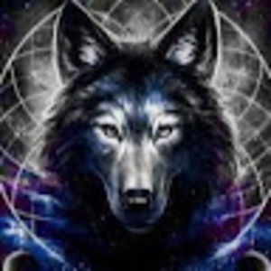 Meet your Posher, Nevaeh